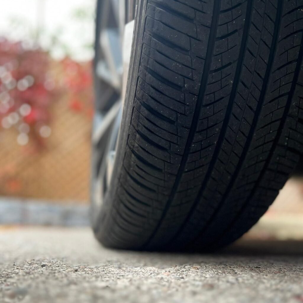 WhatsApp Image 2025-10-25 at 11.54.00_58f07774